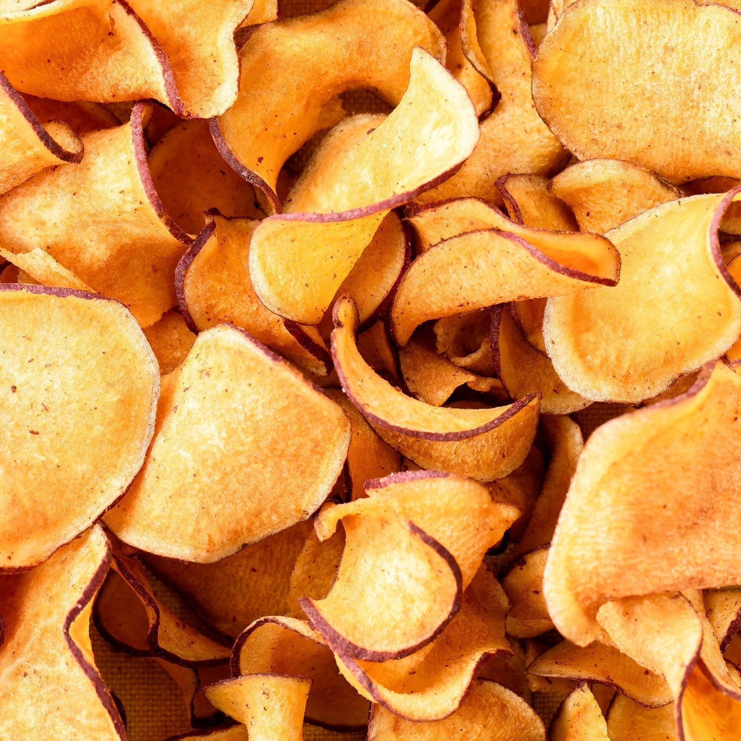 チップス&ケンピ 20袋お得セット