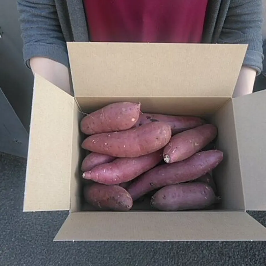 蜜芋オーナー【おいも株】|紅はるかコース(他商品との同時購入不可)