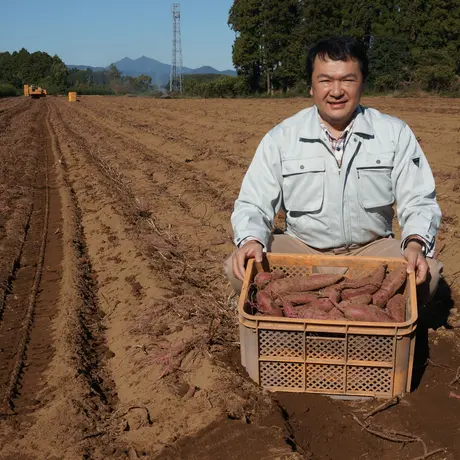 蜜芋オーナー【おいも株】|紅はるかコース(他商品との同時購入不可)