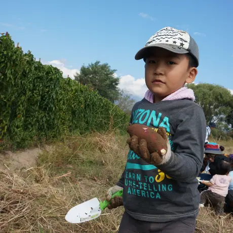 蜜芋オーナー【おいも株】|紅はるかコース(他商品との同時購入不可)