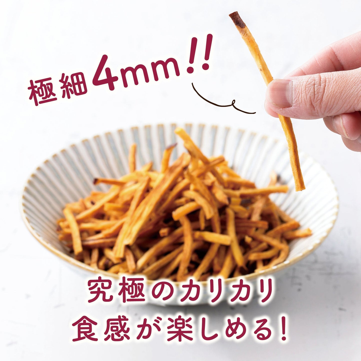 信州ケンピ5種お得セット
