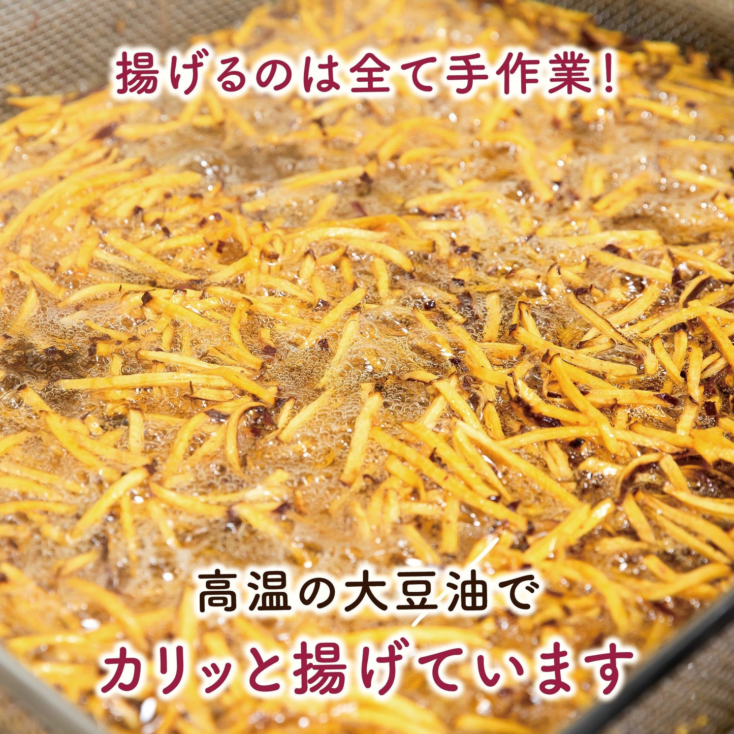 信州ケンピ5種お得セット