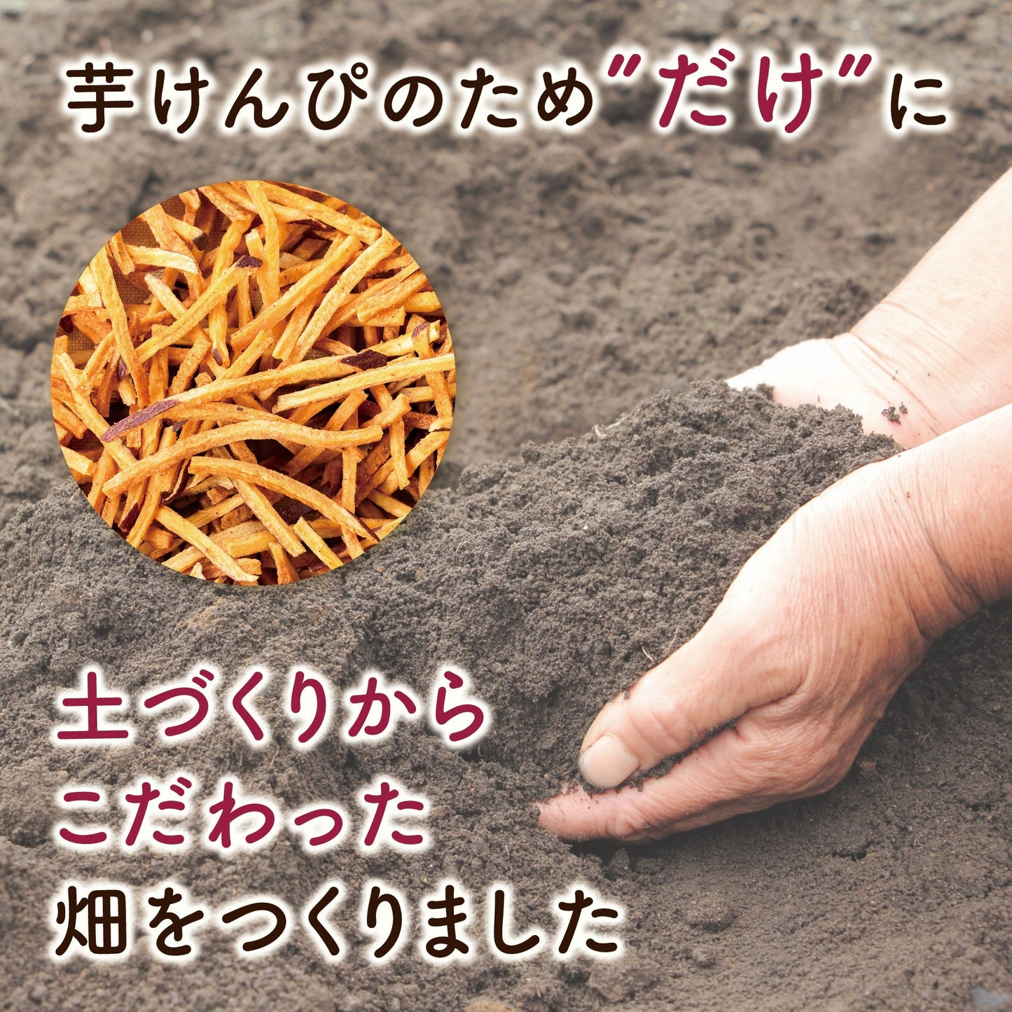 信州ケンピ5種お得セット